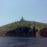 visita-islas-columbretes-81