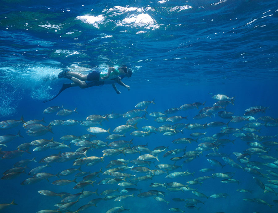 Excursión Snorkel Islas Columbretes